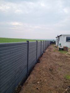 insite-2